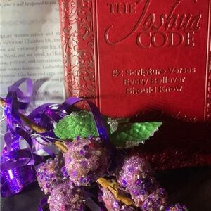 The Joshua Code Book by O.S. Hawkins, NEW